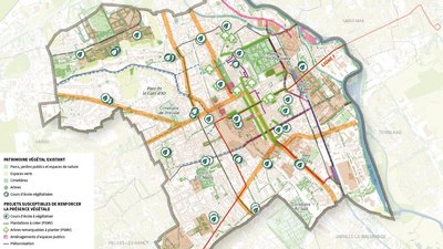 plan représentant le patrimoine végétal existant et les projets susceptibles de renforcer la présence végétale